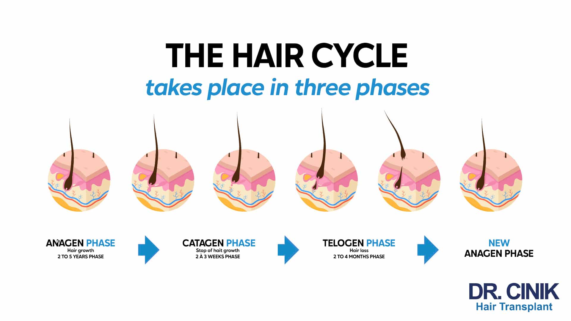 does cagrilintide cause hair loss vs Semaglutide: Which GLP-1 Peptide Is Better for Weight Loss? cagrilintide and retatrutide stack GHK-Cu